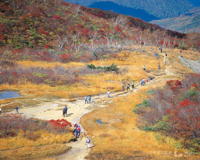 岩手県側から見る栗駒山の紅葉