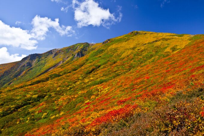 宮城県側から見る栗駒山の紅葉