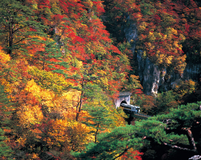 鳴子峡の紅葉とJR陸奥東線