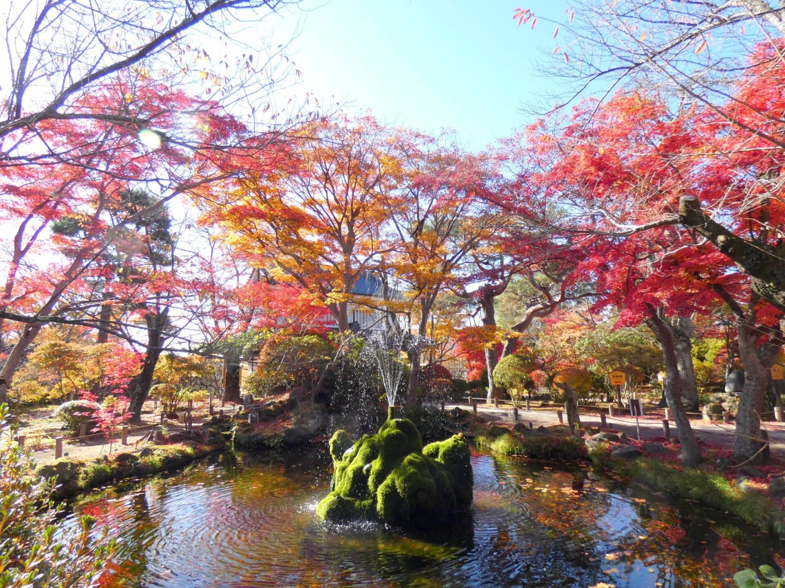 懐古園の紅葉風景