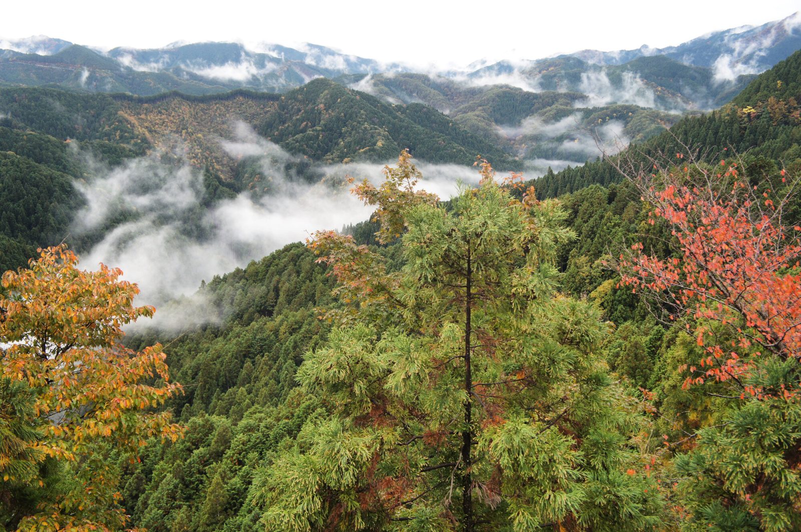 高野山