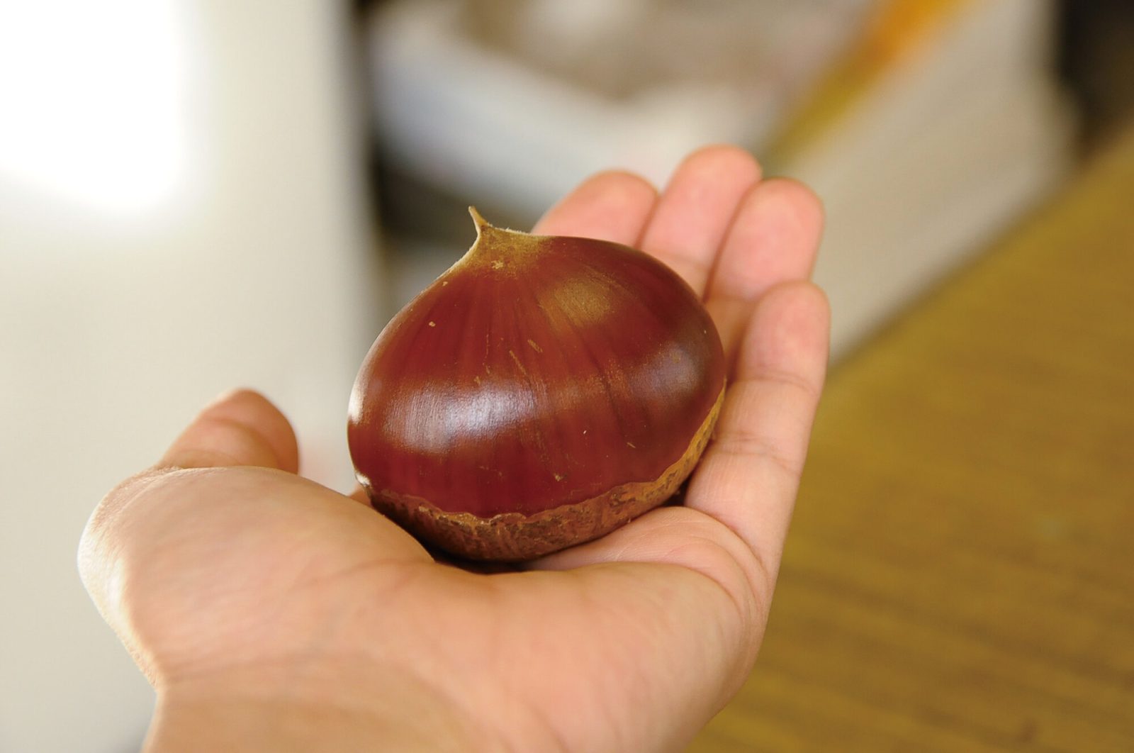 茨城県の栗