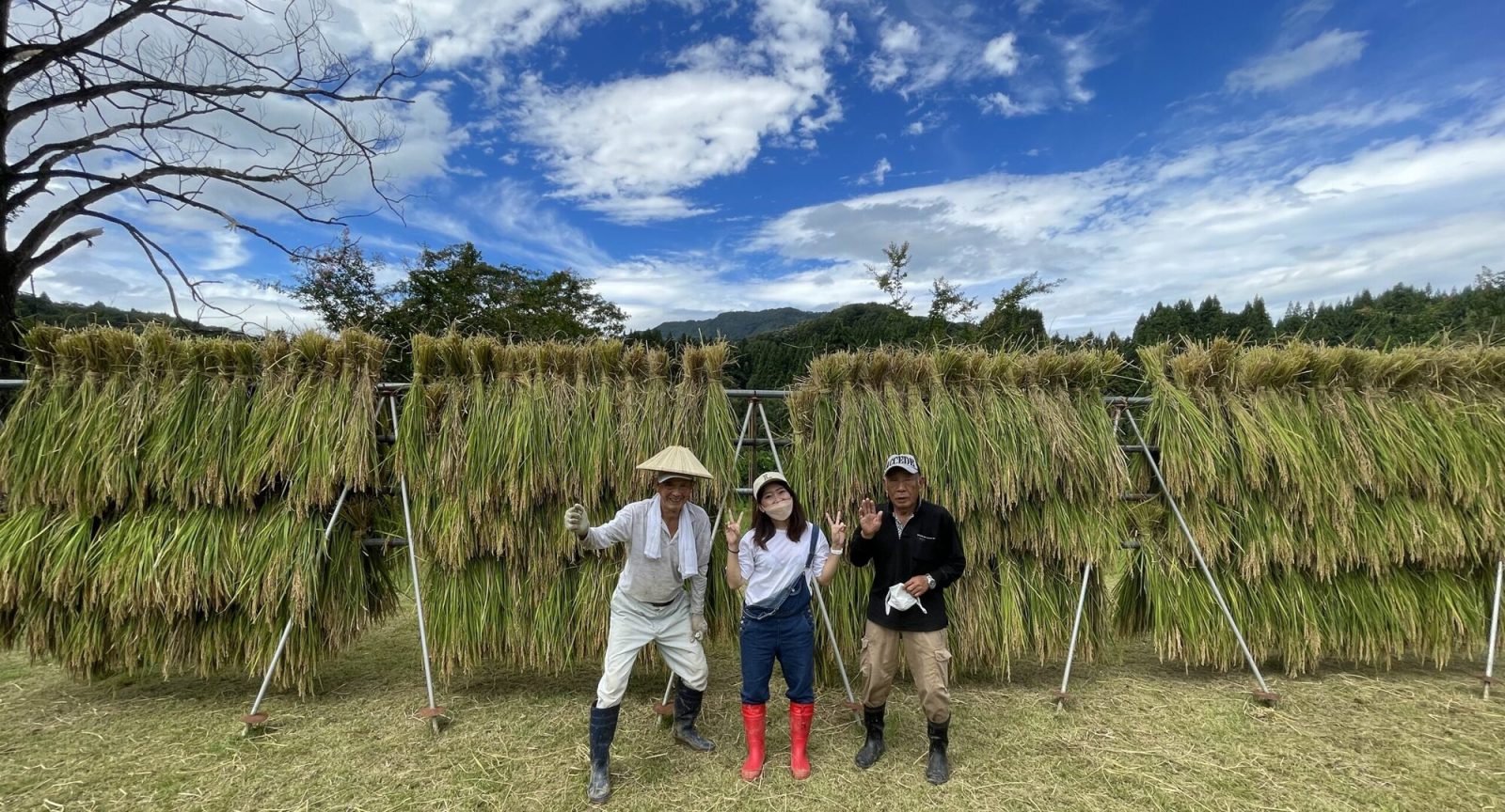 じょんのび村の従業員