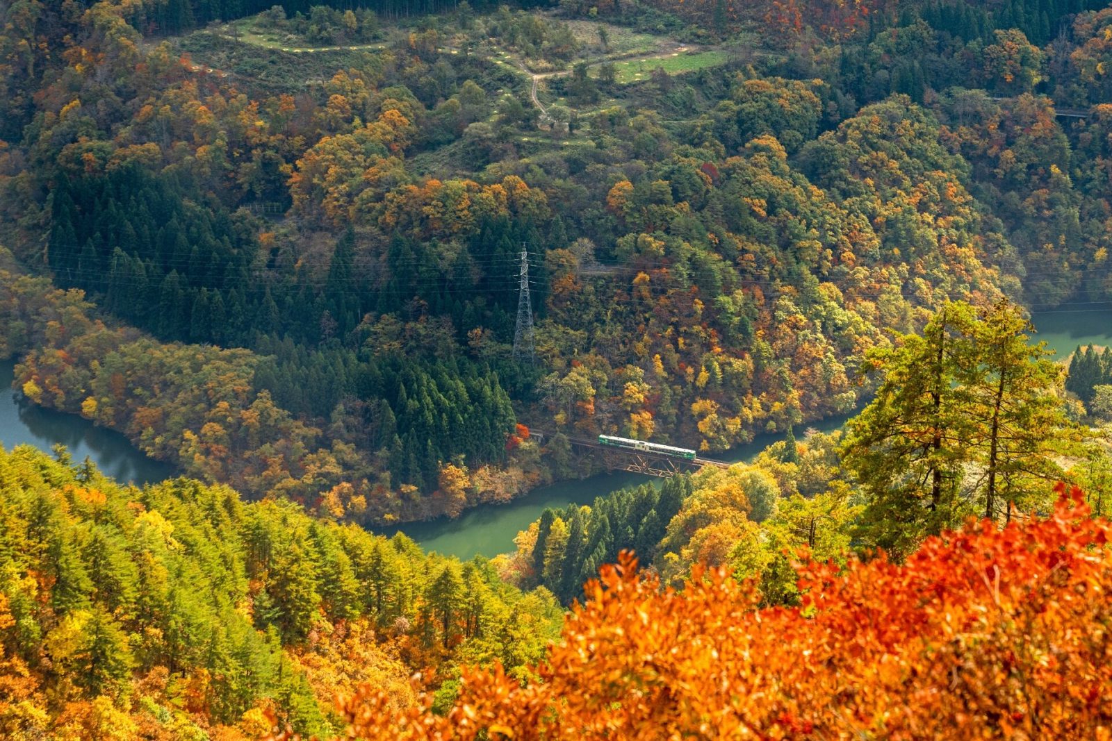 紅葉の中を走る鉄道