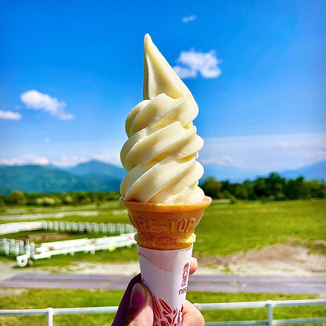 八ヶ岳おすすめグルメ「清泉寮のソフトクリーム」