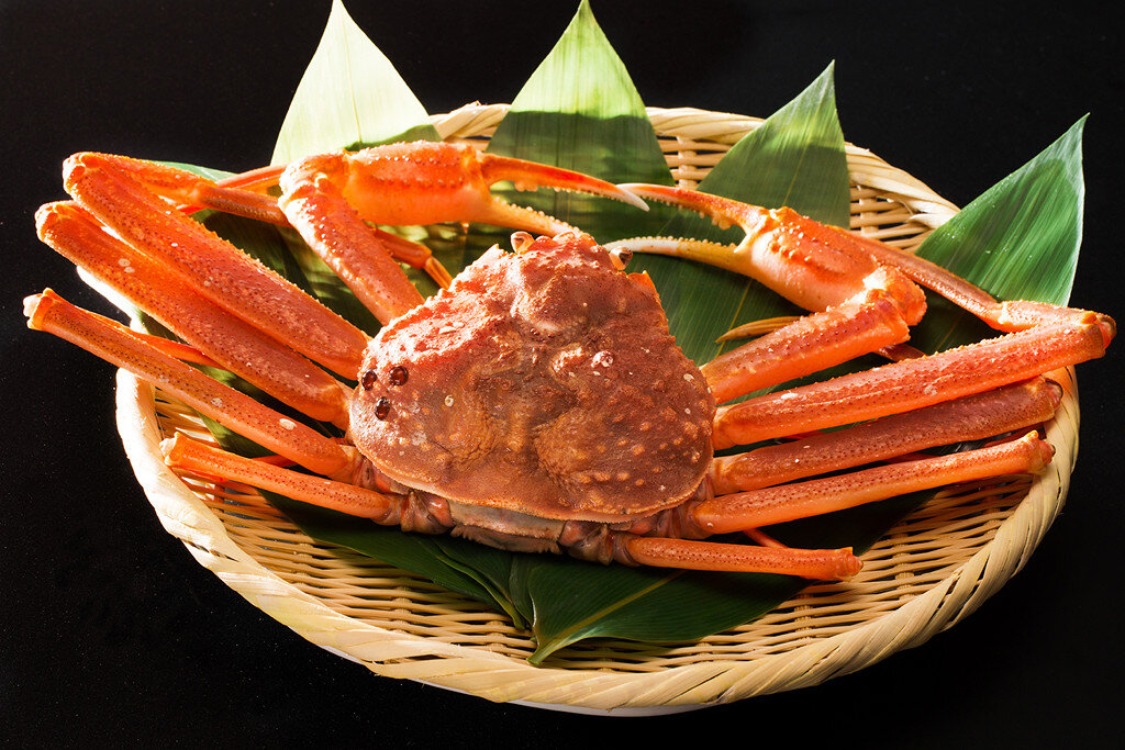 冬の北陸でカニを贅沢に食す石川県へ美食の旅に出かけよう