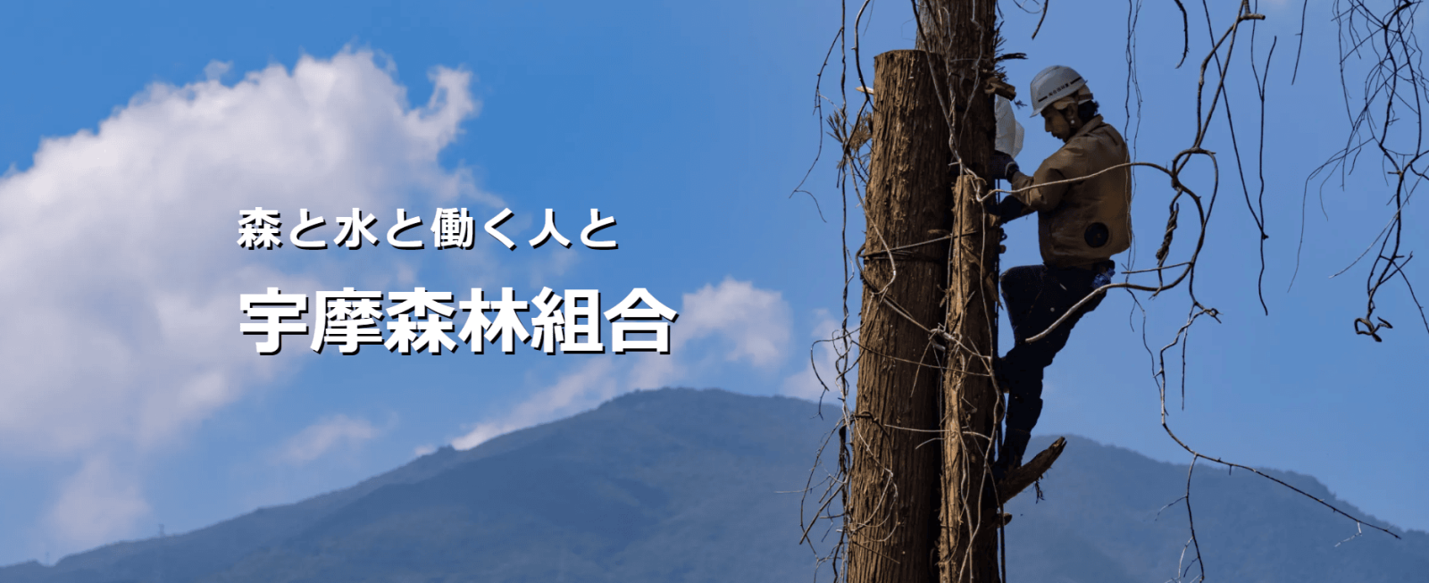 宇摩森林組合