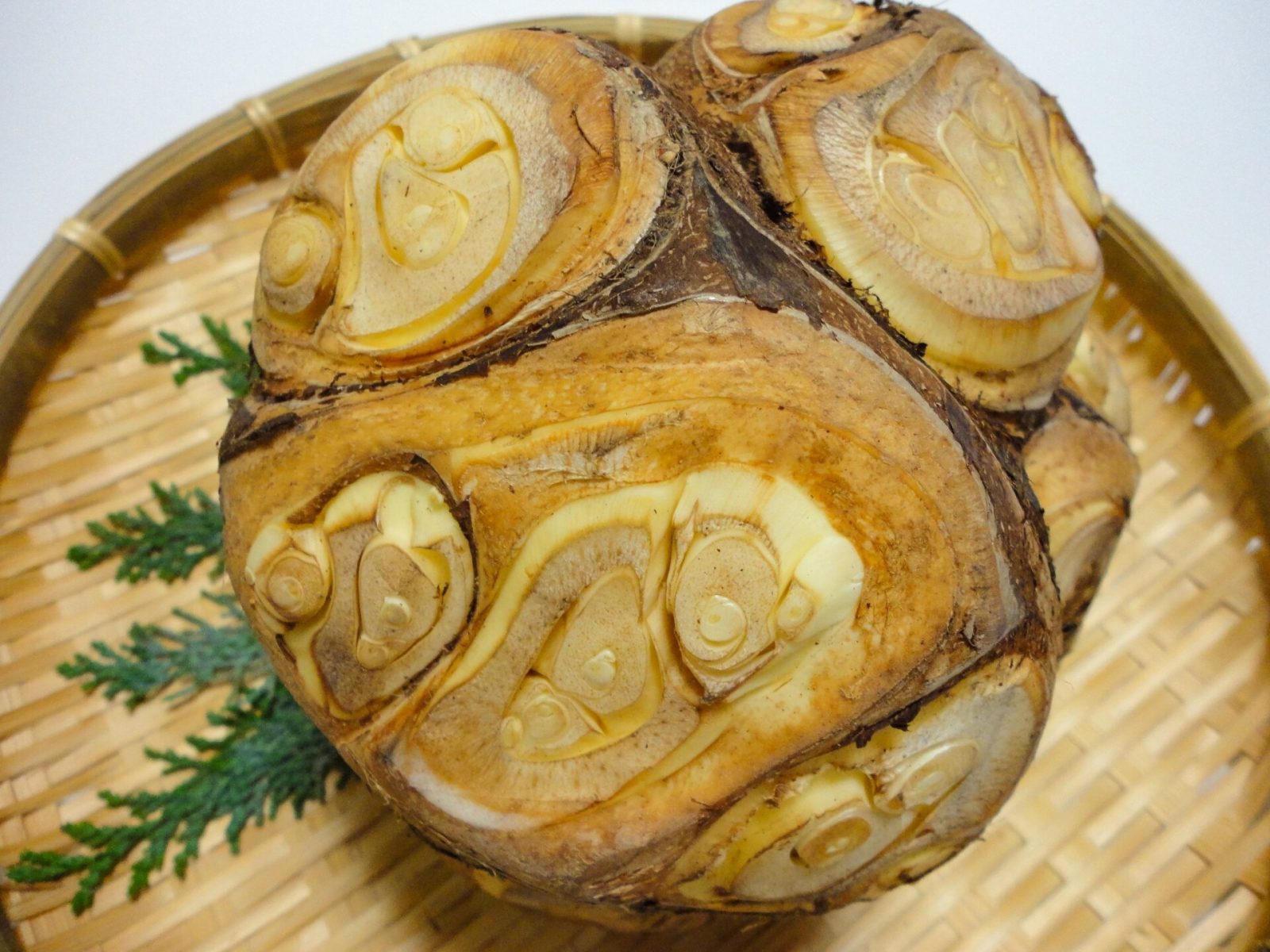 酉の市の縁起物「八頭」