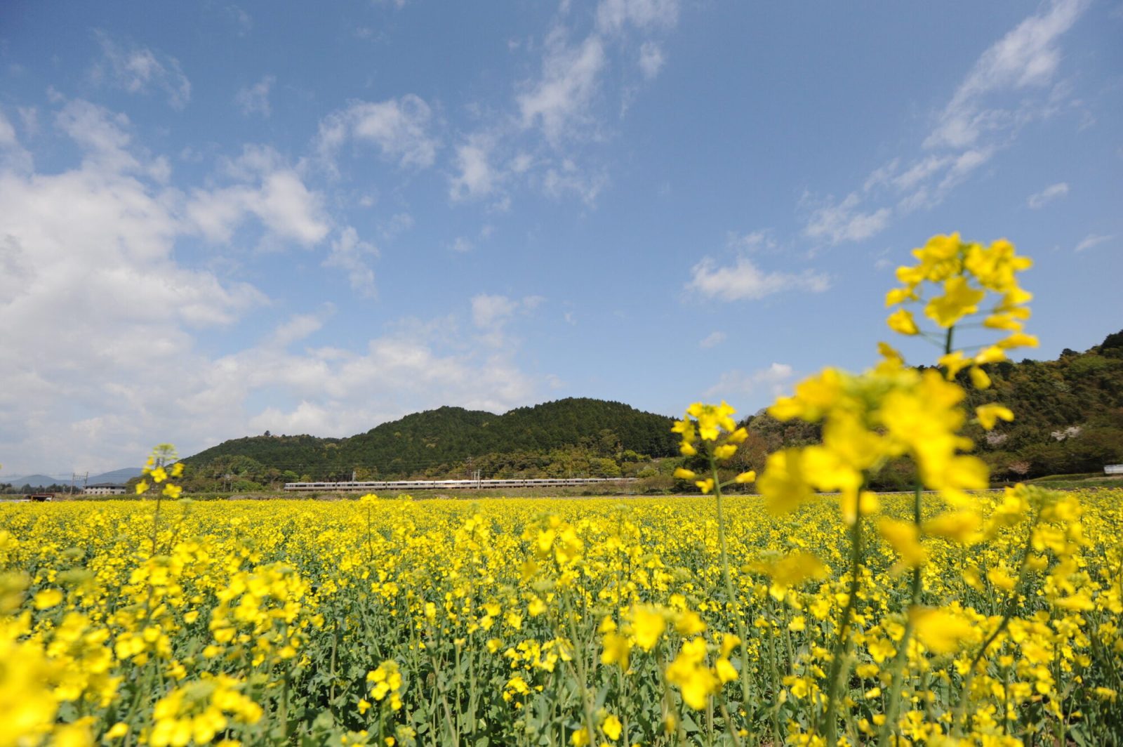 櫻井寛の駅弁まんぷく旅第7回：関西編　東海道・山陽本線（琵琶湖線・ＪＲ神戸線）