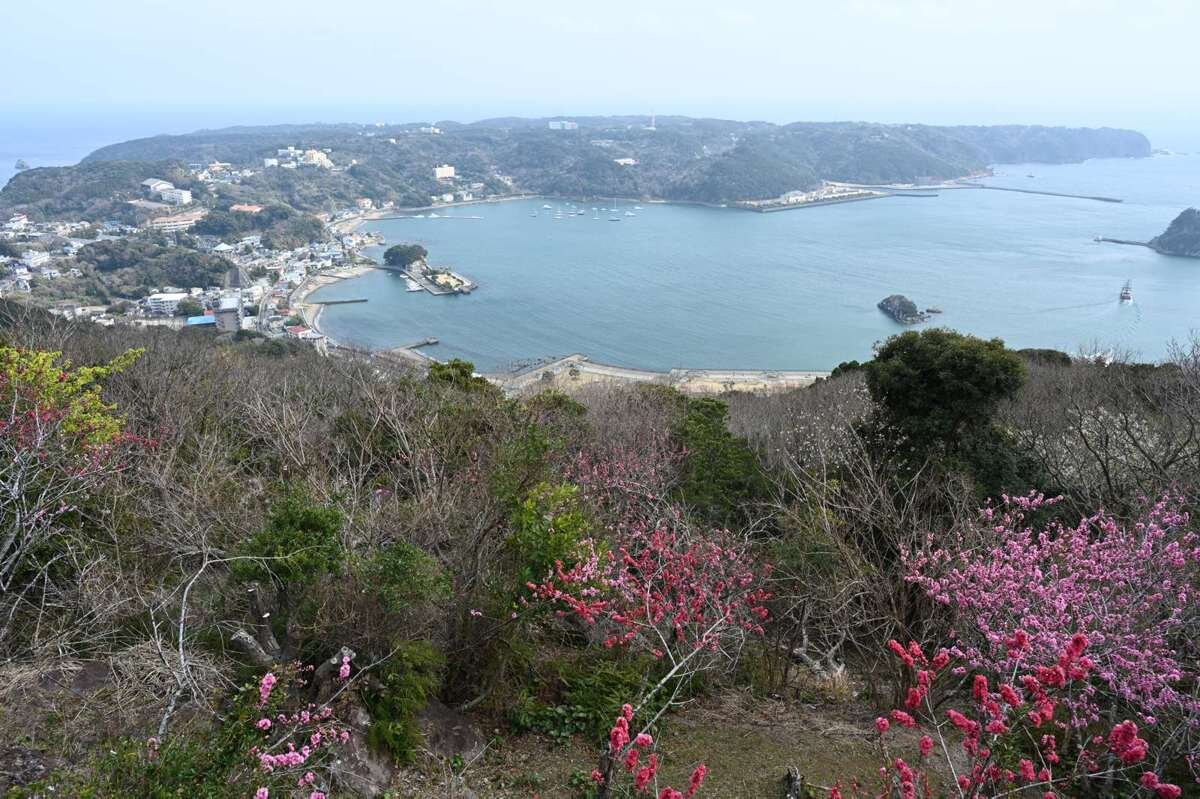 下田の寝姿山から見える伊豆三景