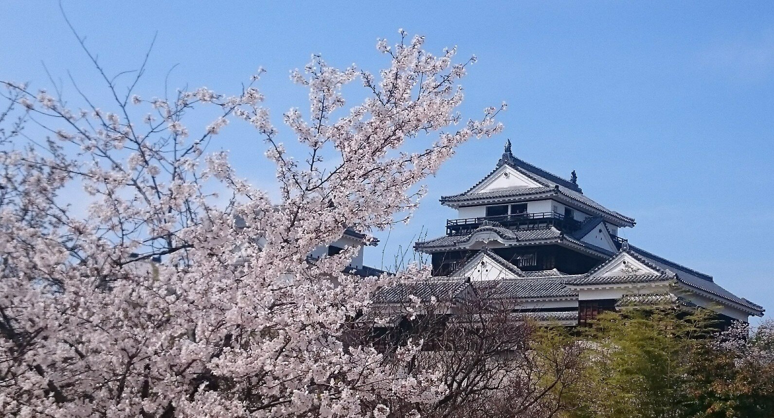 松山城