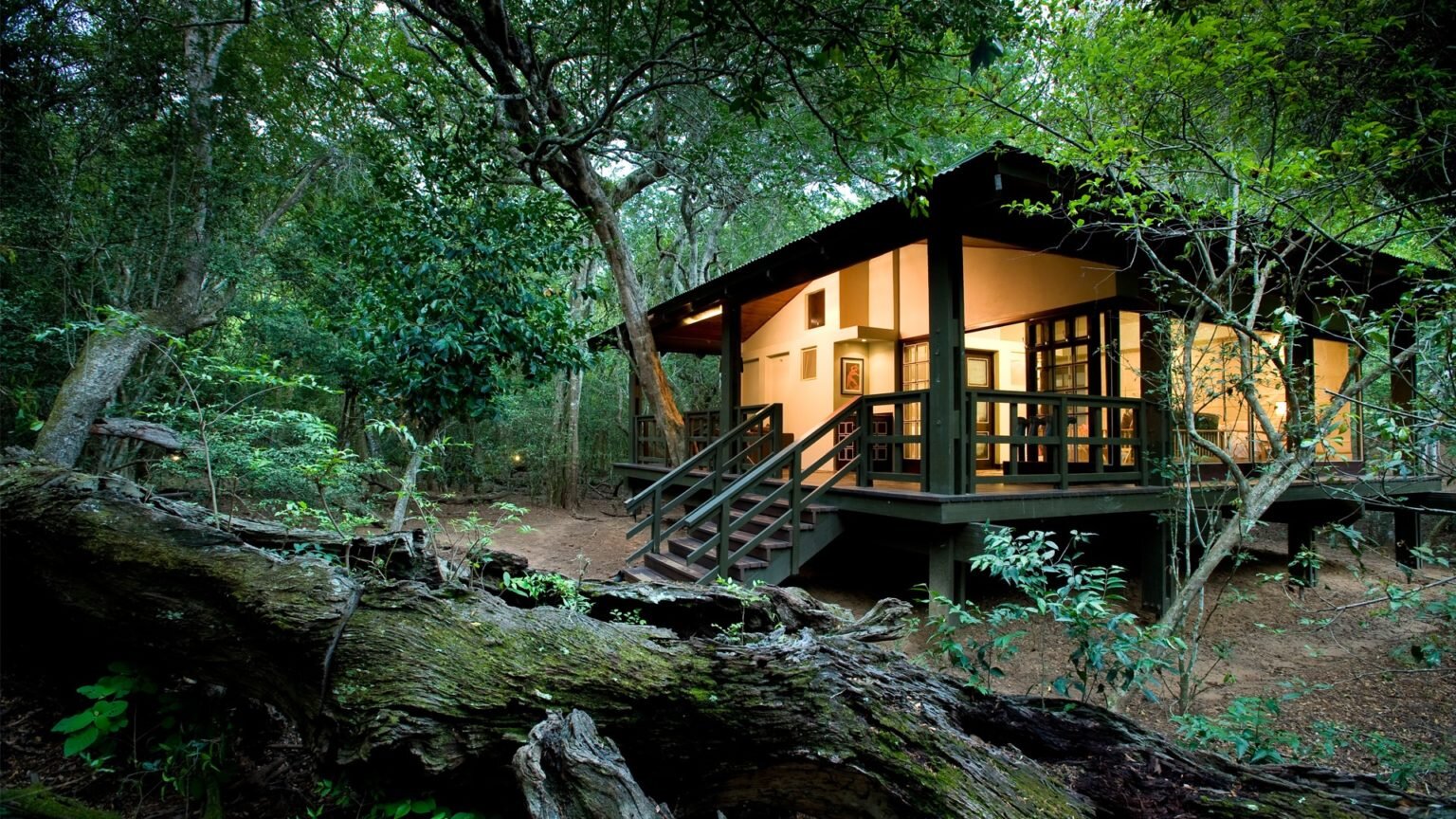 &Beyondのロッジ「Forest Lodge」