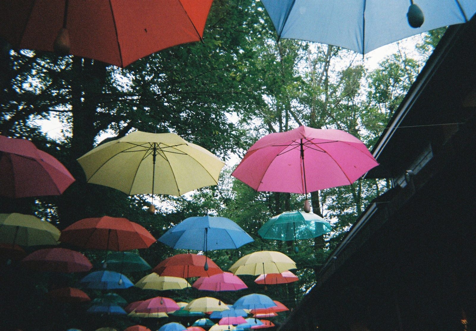 lomographyのsimple use reloadable film cameraで撮った写真