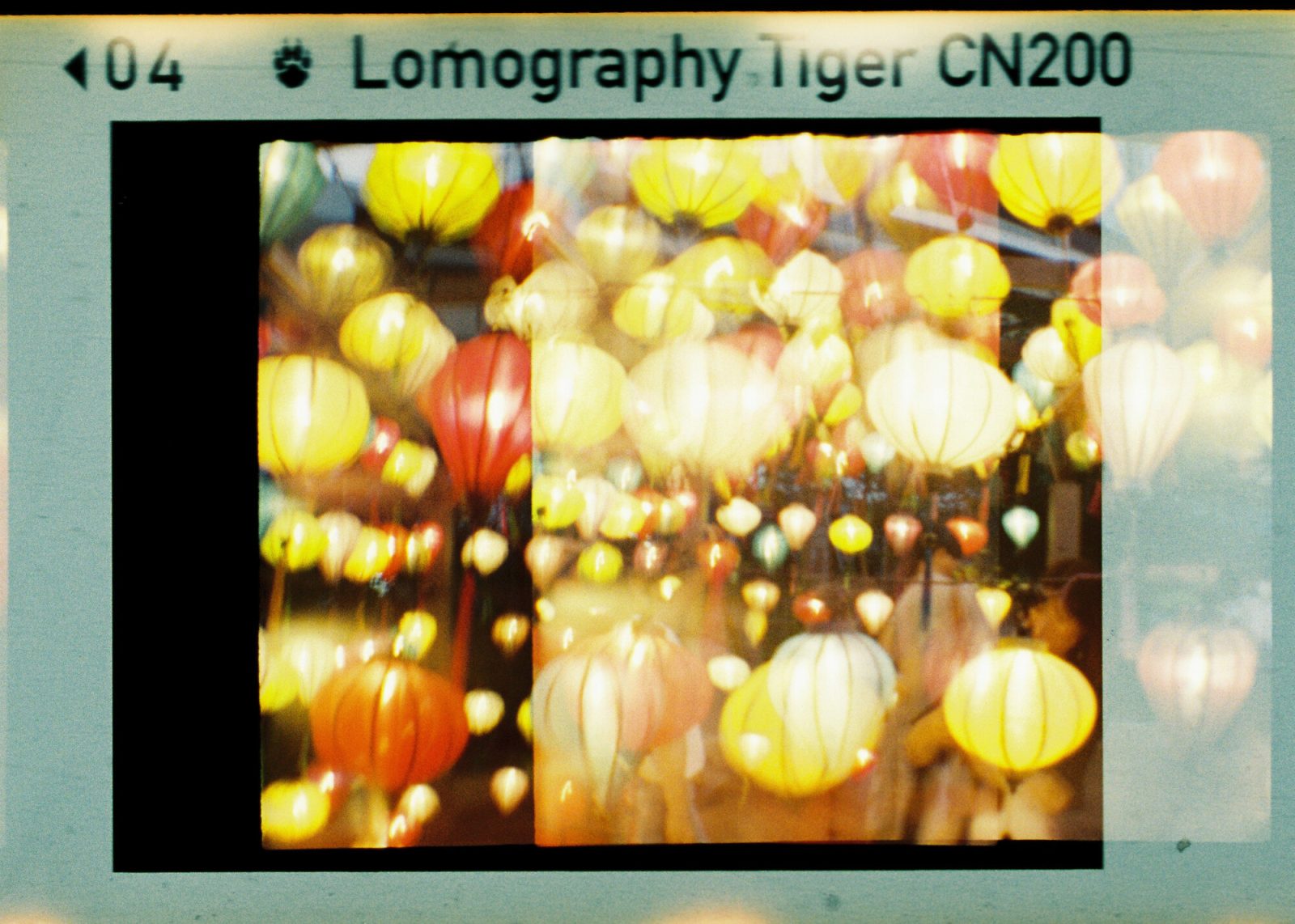 lomographyのdiana baby 110で撮った写真