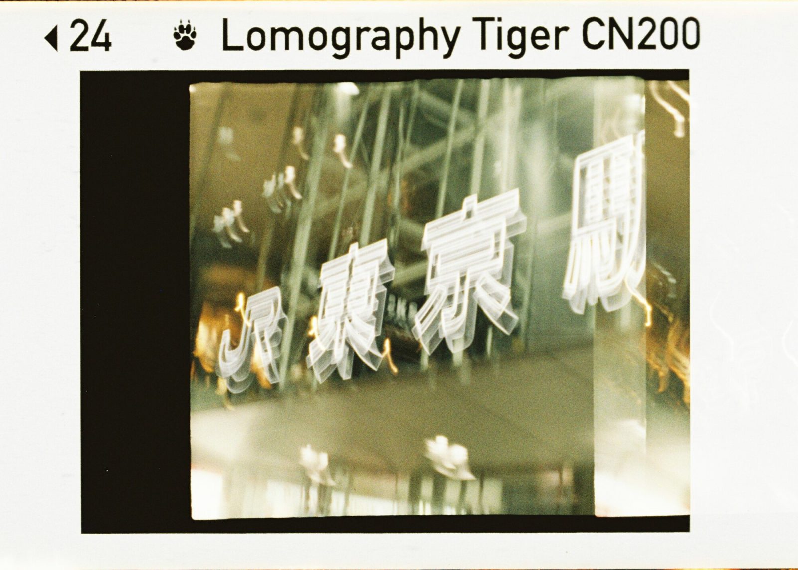 lomographyのdiana baby 110で撮った写真