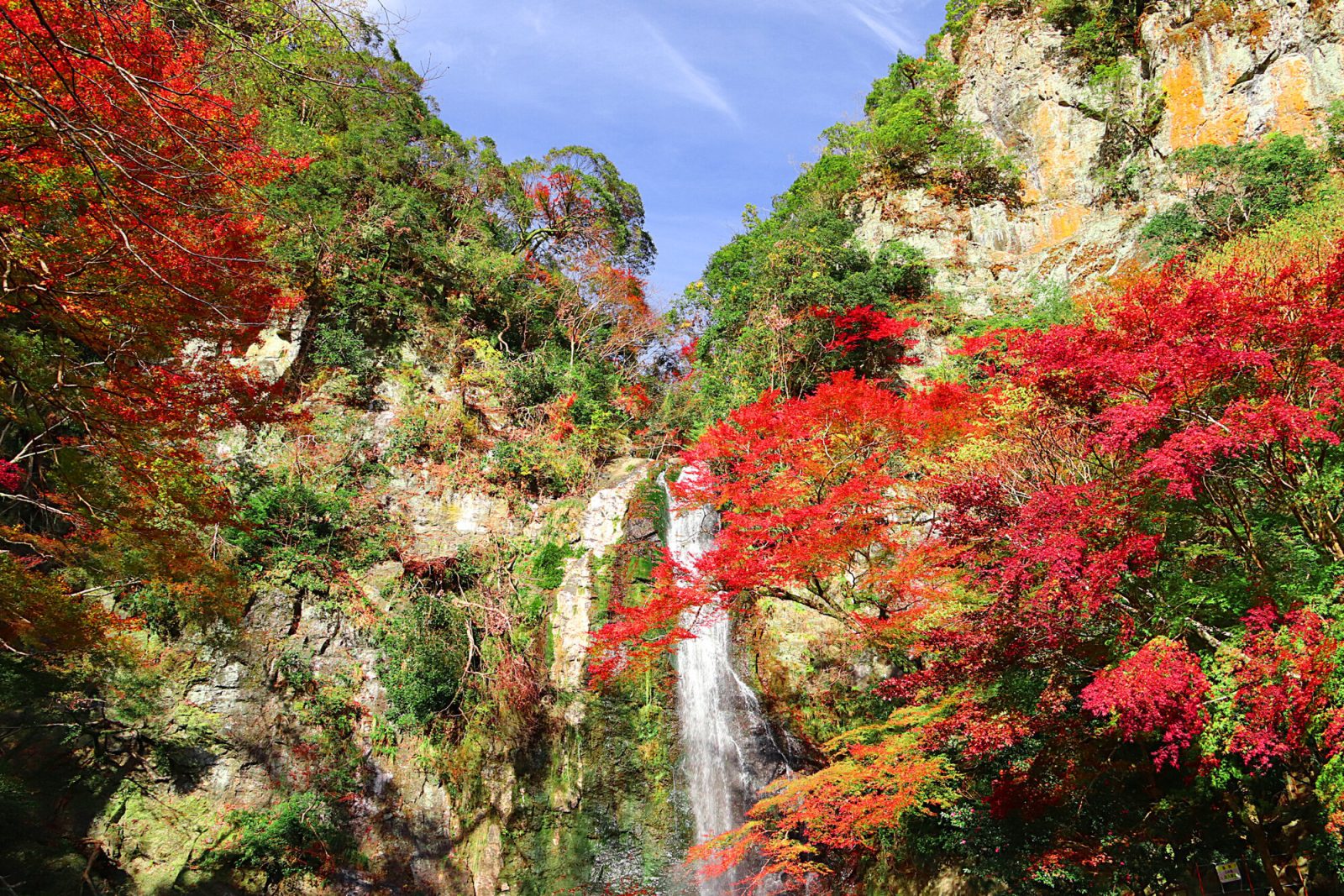 関西の紅葉スポット「箕面大滝」（大阪府）