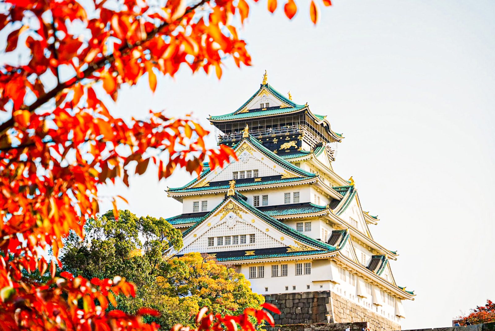 関西の紅葉スポット「大阪城」（大阪府）