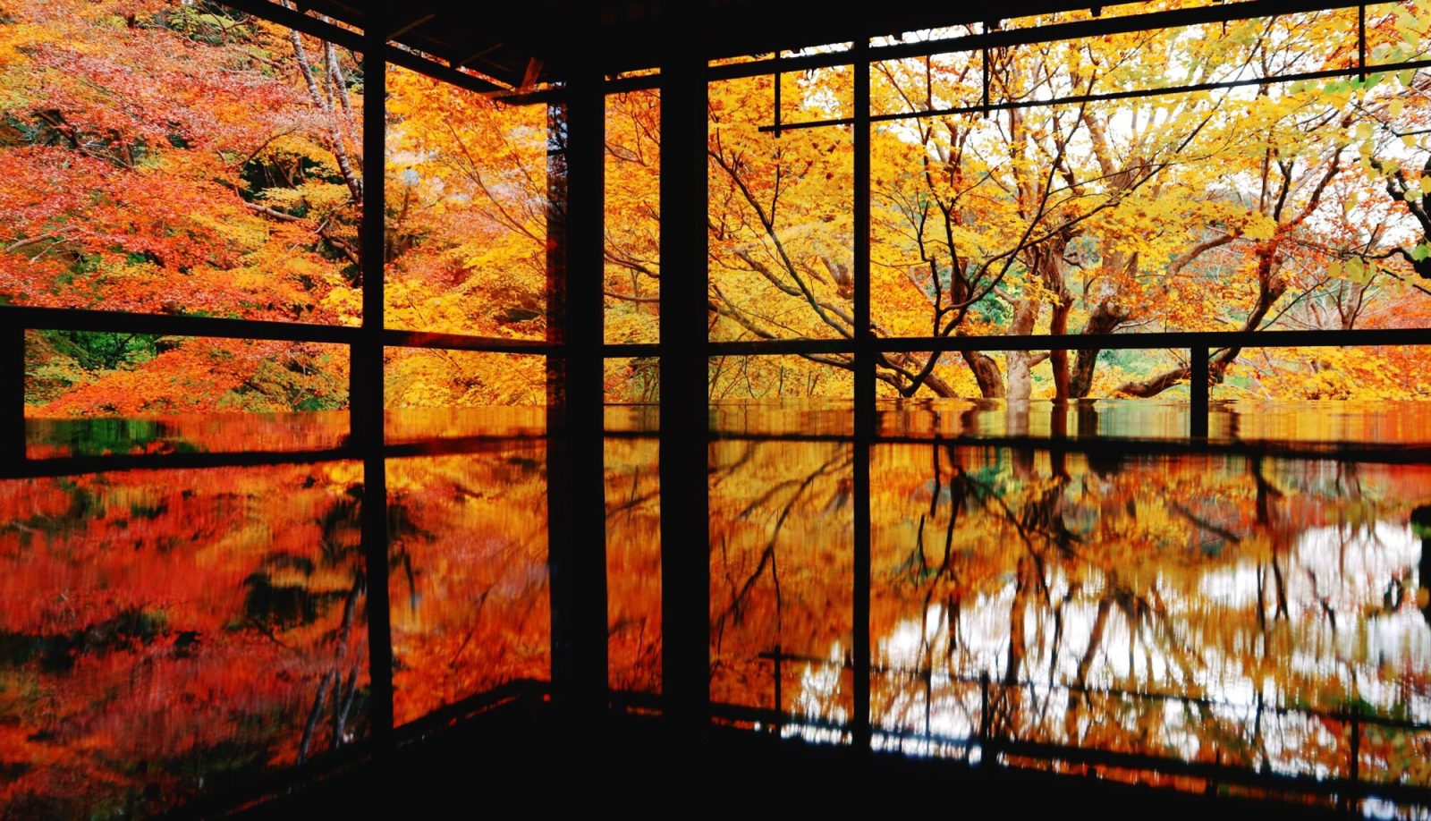 関西の紅葉スポット「瑠璃光院」（京都府）