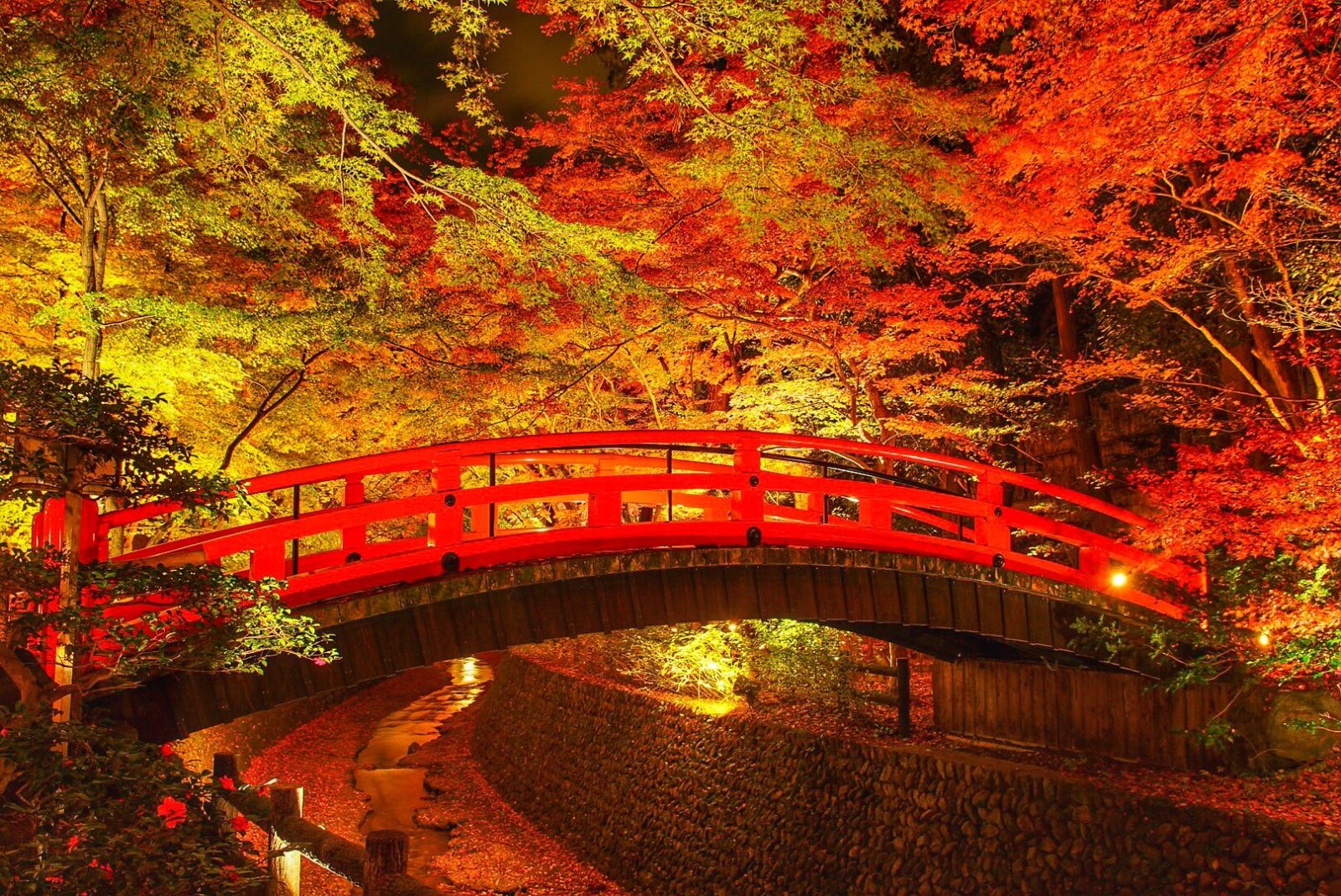 関西の紅葉スポット「史跡御土居のもみじ苑」（京都府）