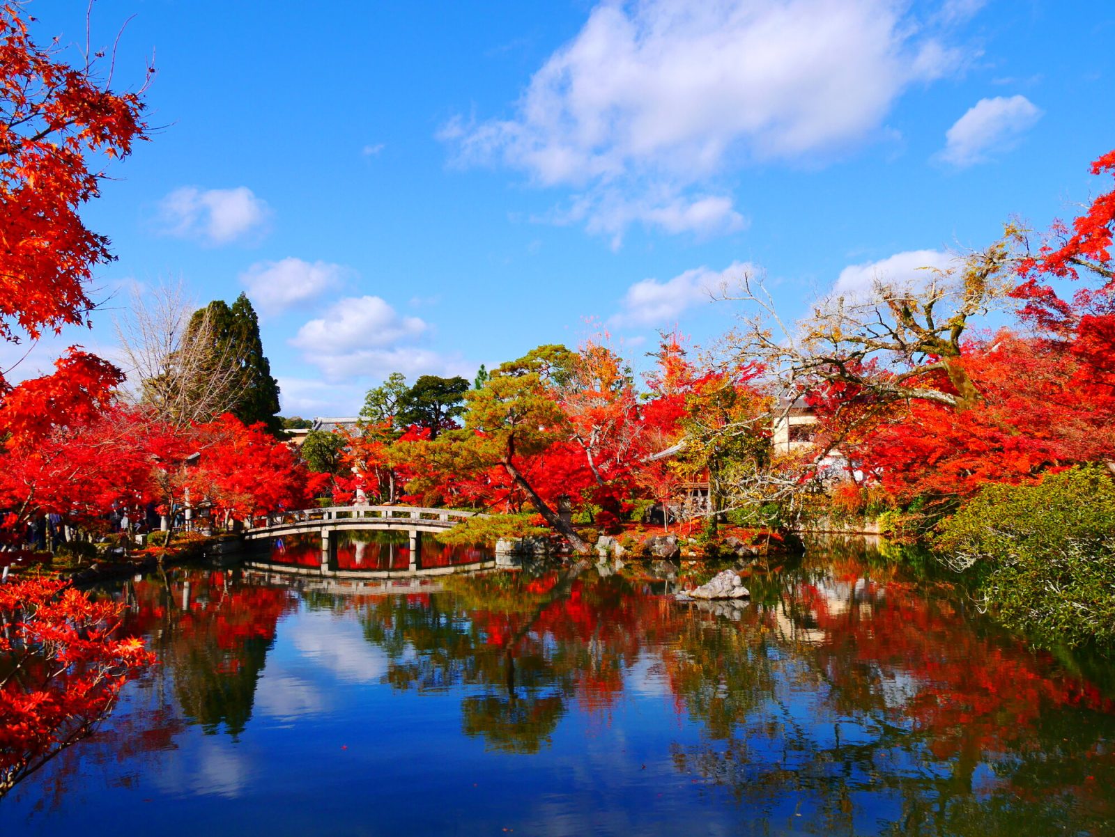 関西の紅葉スポット「永観堂 禅林寺」（京都府）