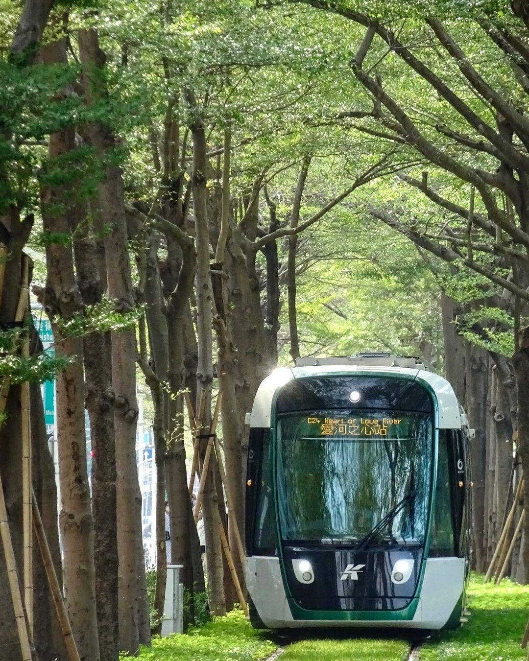 高雄のトトロのトンネル