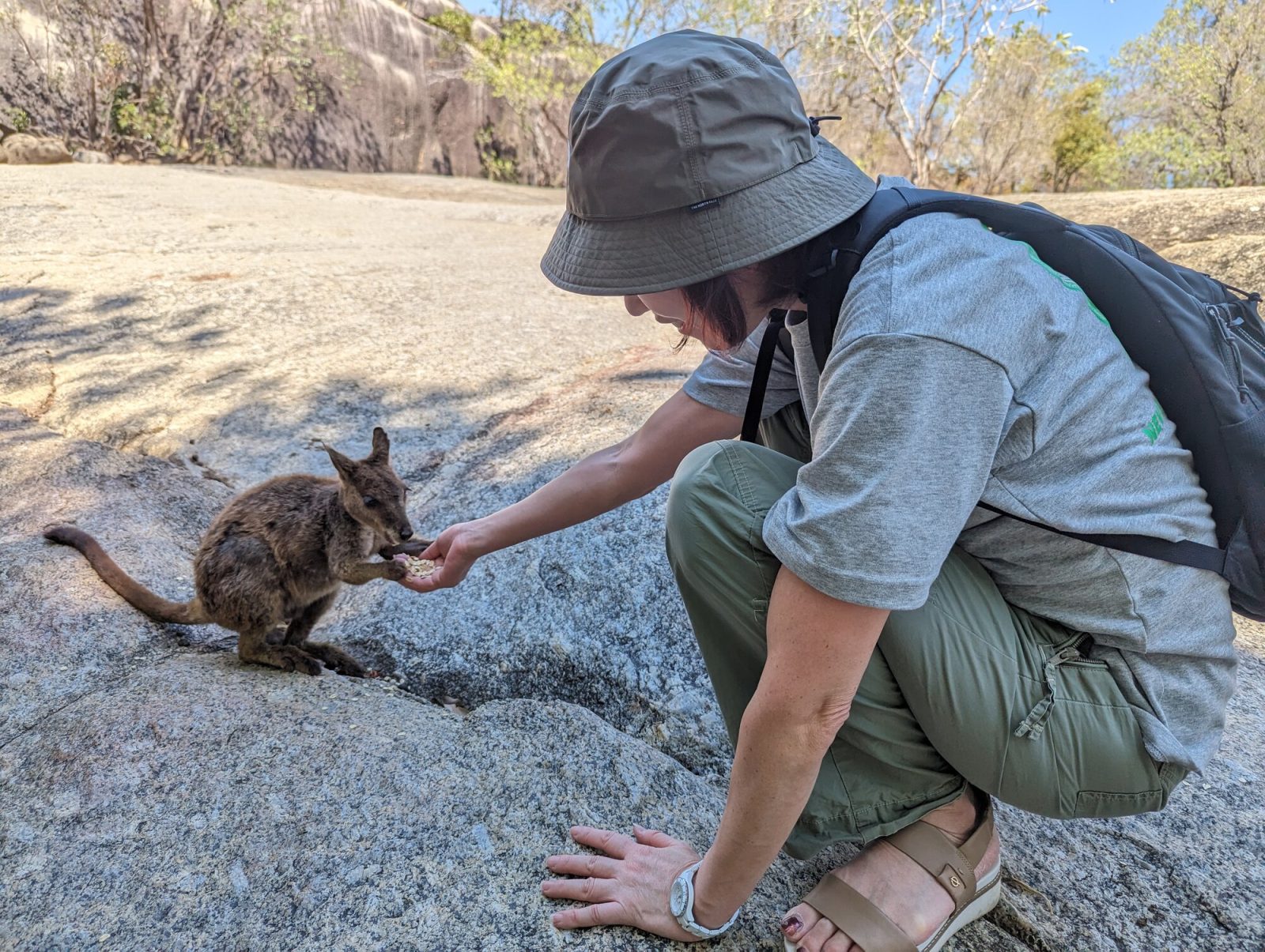 グラニット・ゴージ自然公園でロックワラビーに餌付けしている様子