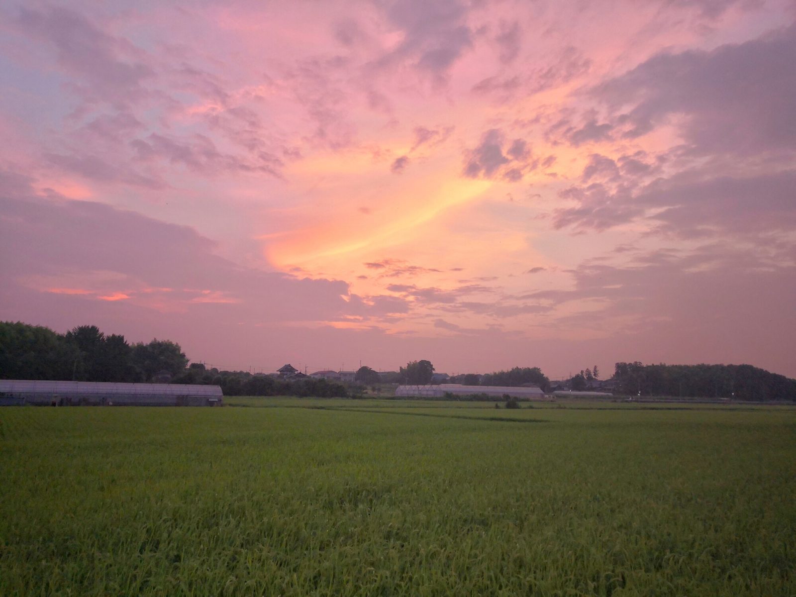 栃木の田園風景