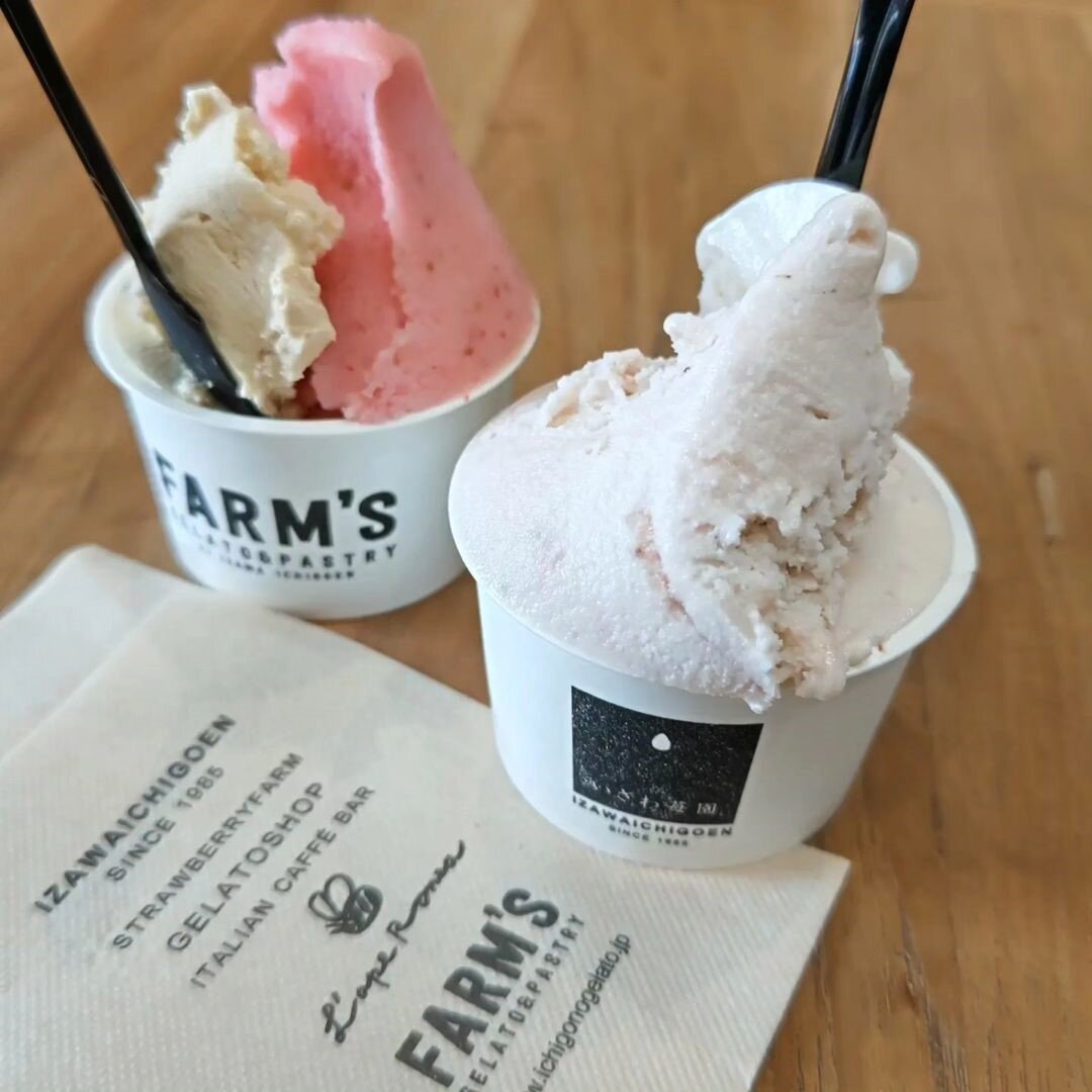 栃木のいちごを味わえるスイーツ店「Gelato&caffeいざわ苺園」