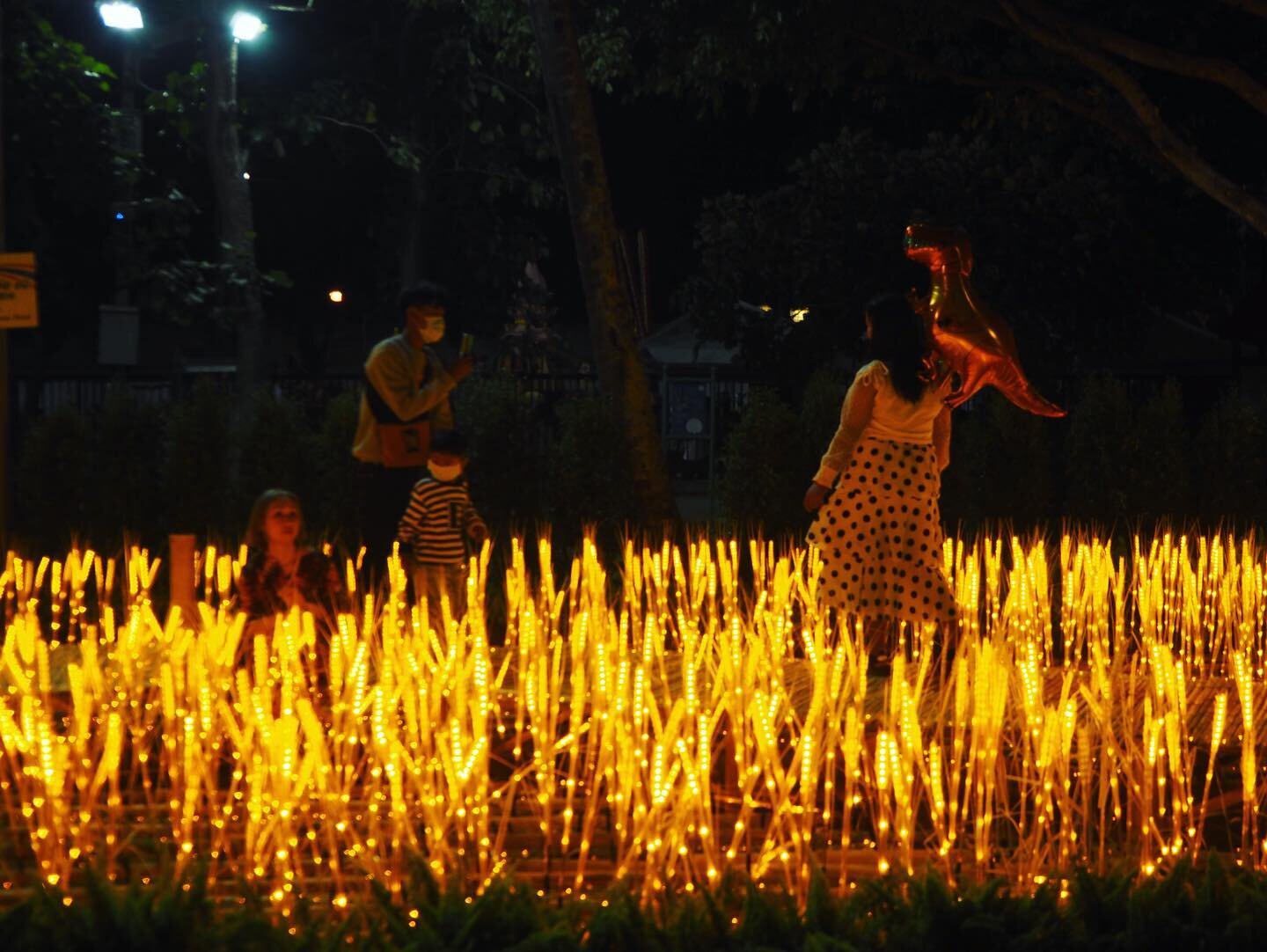 チェンマイ花祭りでライトアップされたノーンブアクハート公園