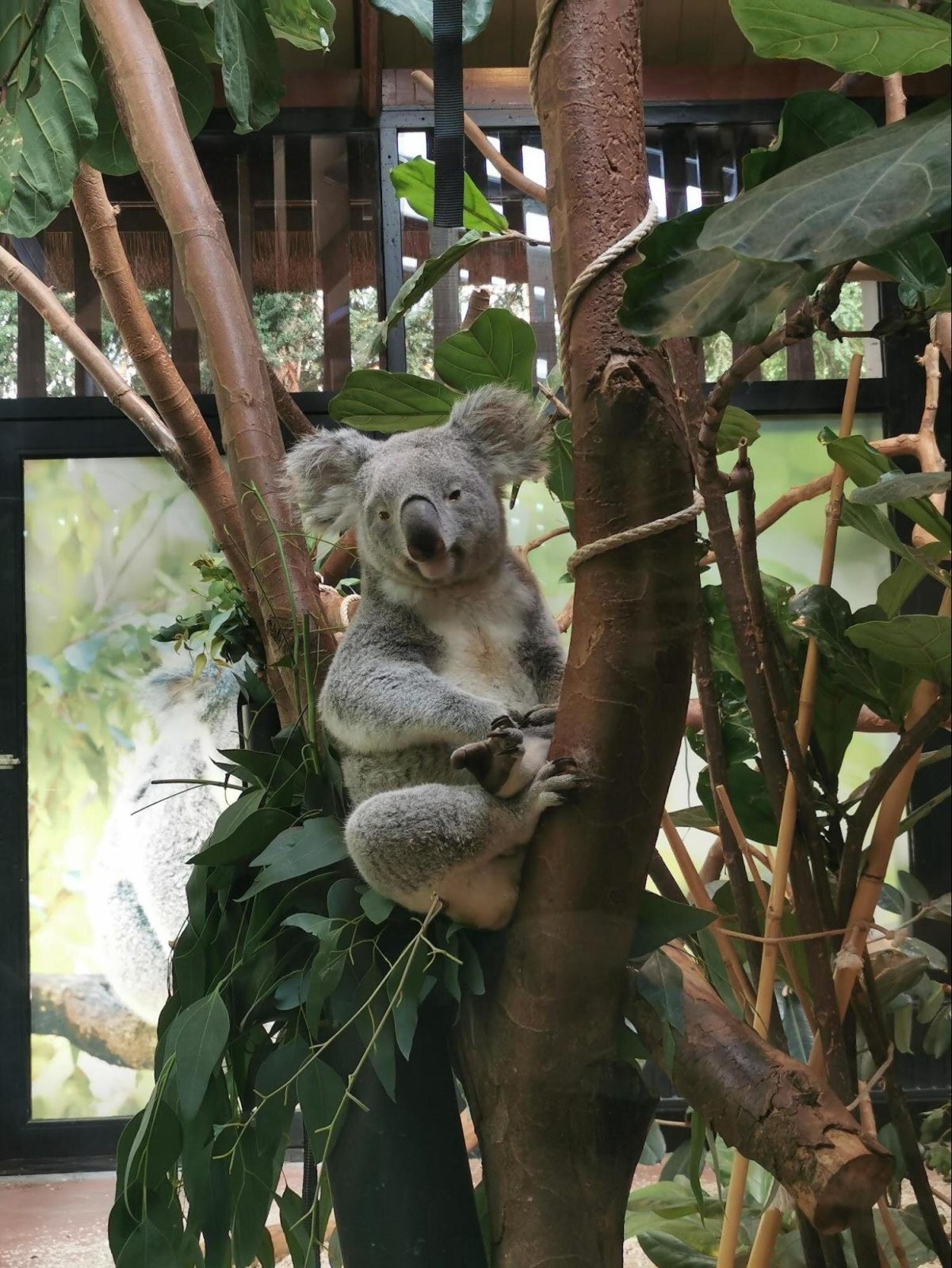 アントワープ動物園