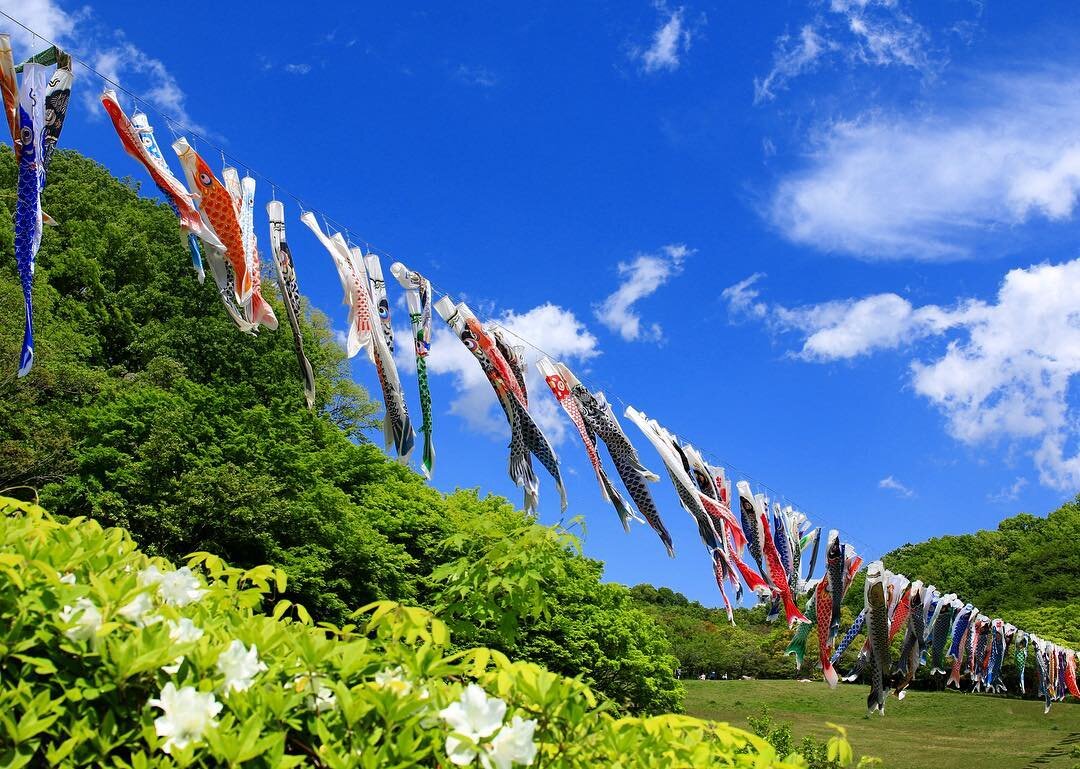 森の里鯉のぼりまつりで若宮公園で掲揚される鯉のぼり