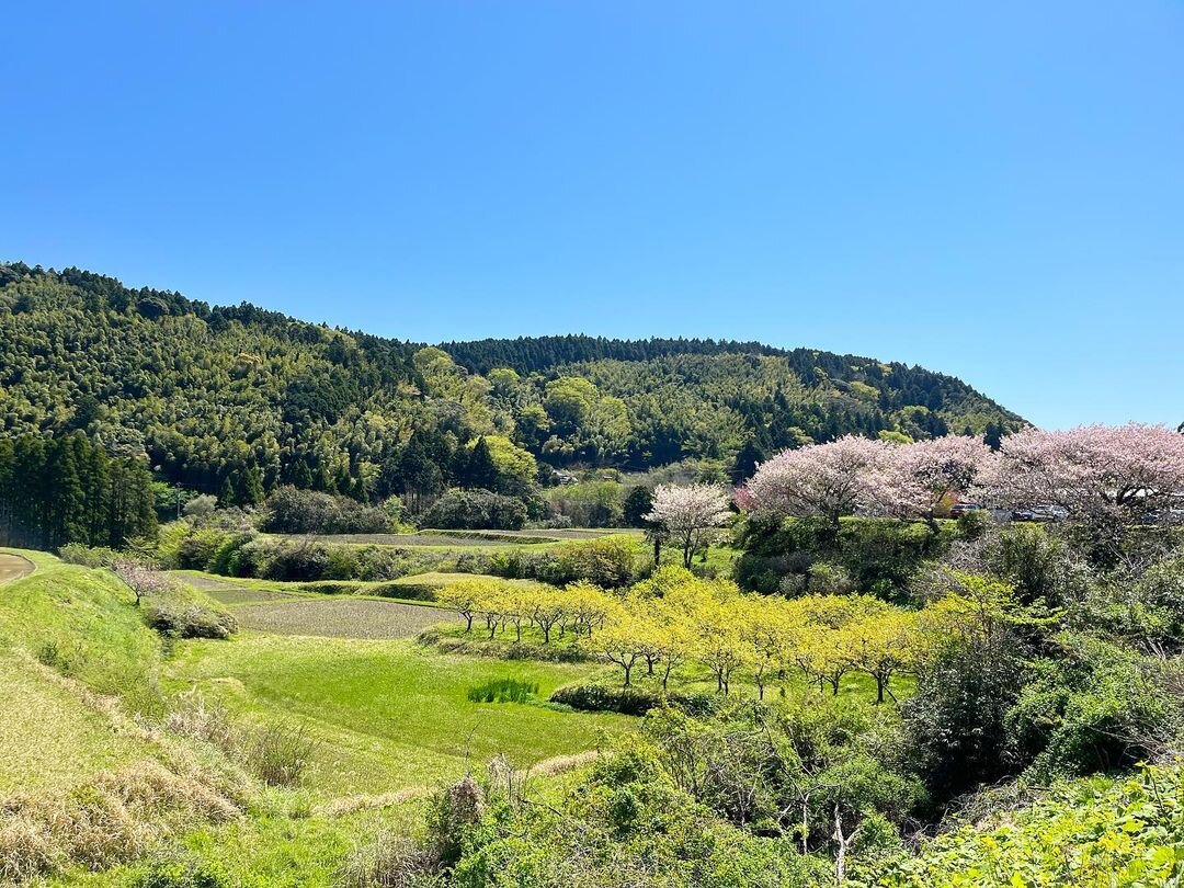 大多喜町の春風景