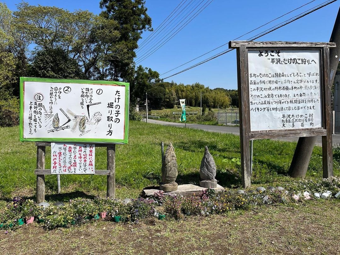 平沢たけのこ村入口