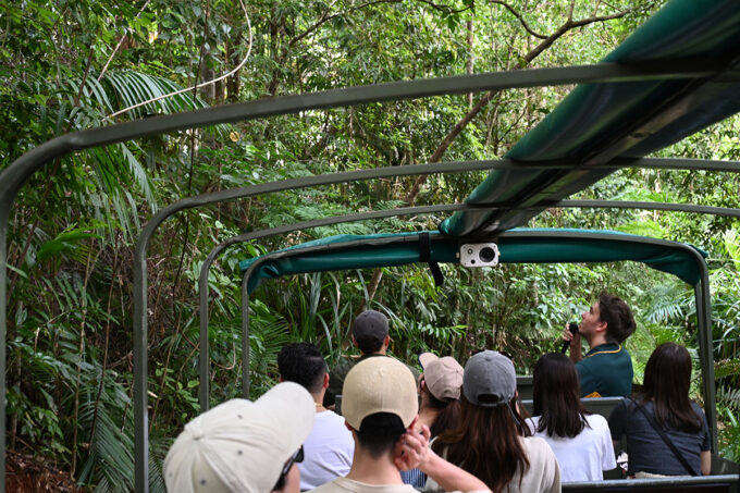 キュランダ内にある熱帯雨林のテーマパーク「レインフォレステーション」