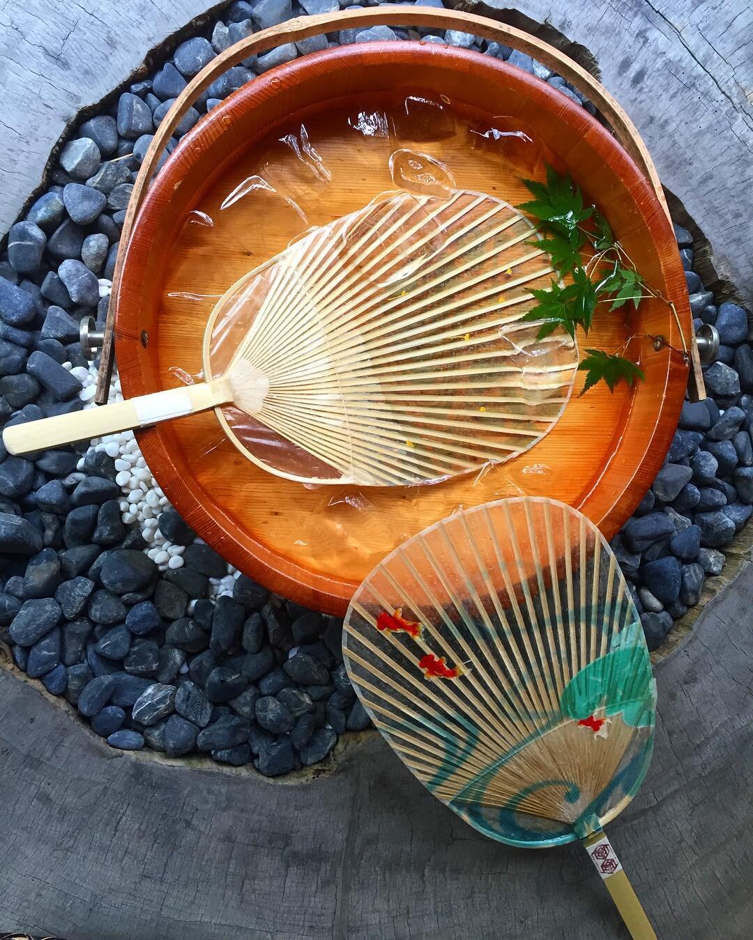 【岐阜】伝統工芸の魅力水うちわの美しさや使い方を深掘り解説
