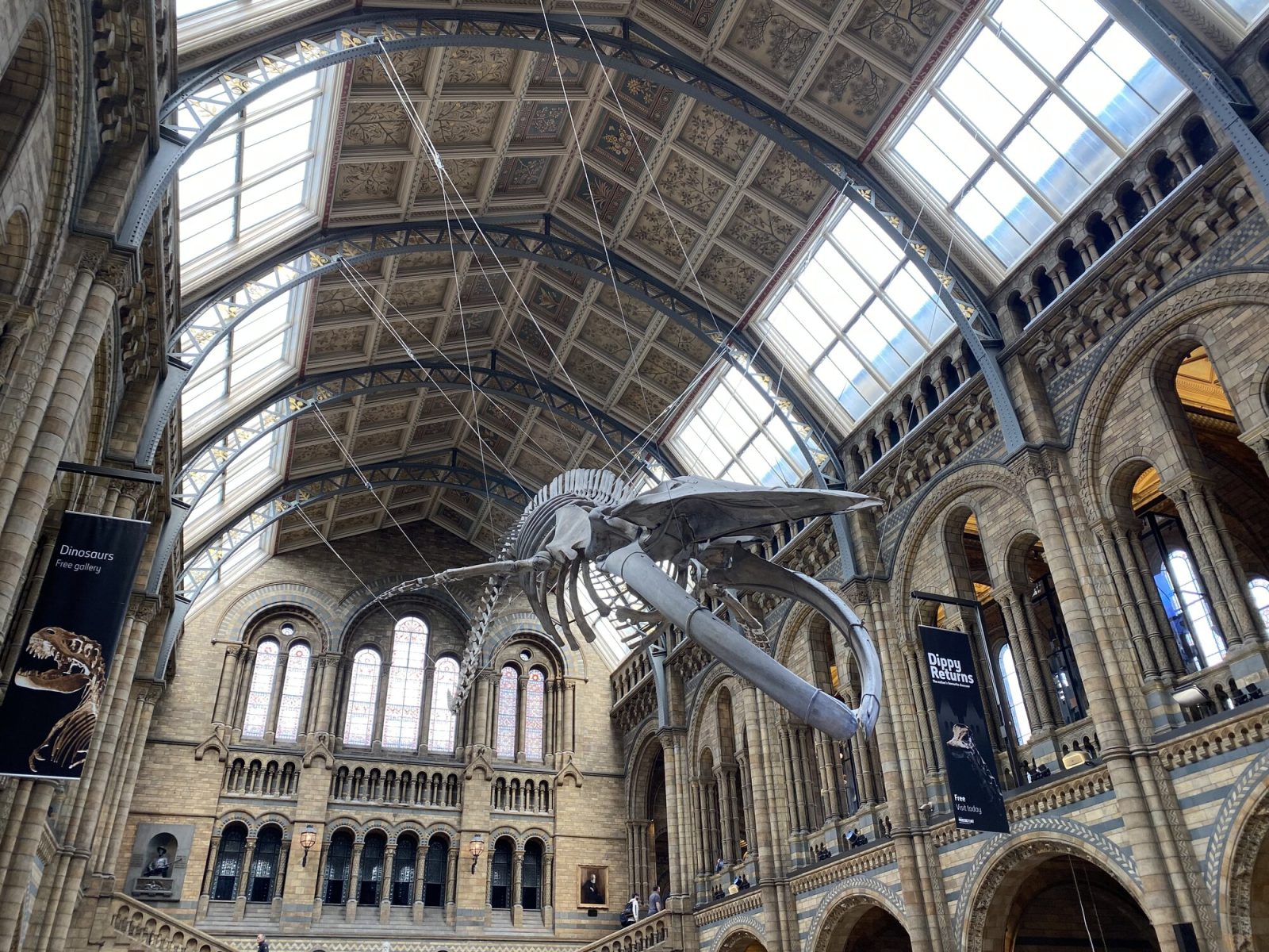 ロンドンの自然史博物館の展示品