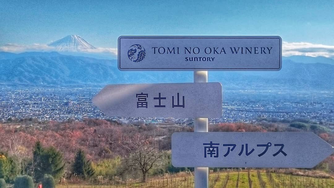 【山梨県】秋の絶景やグルメ、ホテルまでワイン初心者でも楽しめるワイナリー巡り