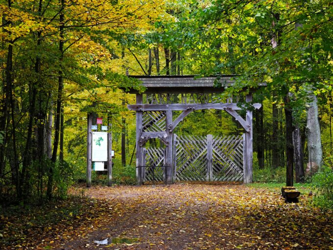 生い茂る木々の中に佇むビャウォヴィエジャ国立公園のゲート