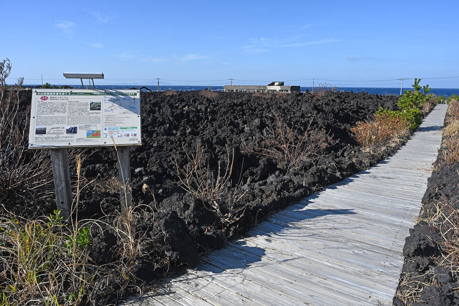 三宅島の火山体験遊歩道