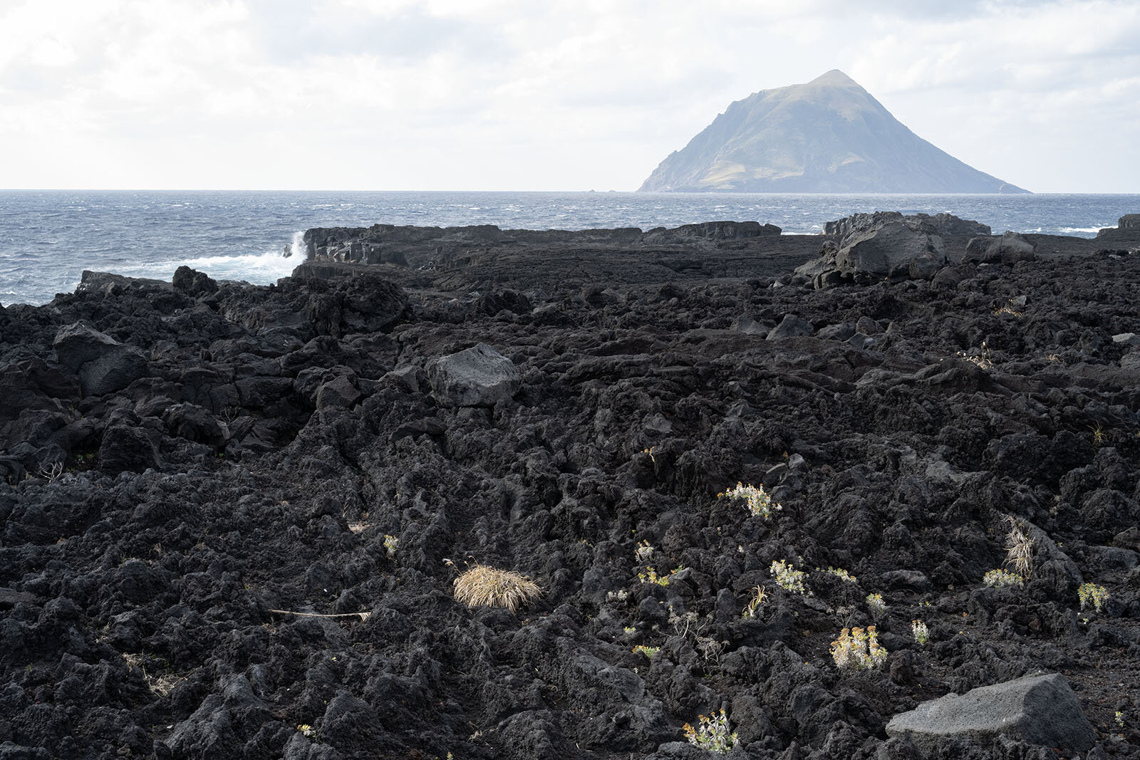 黒々とした岩が広がる溶岩の台地(八丈島)