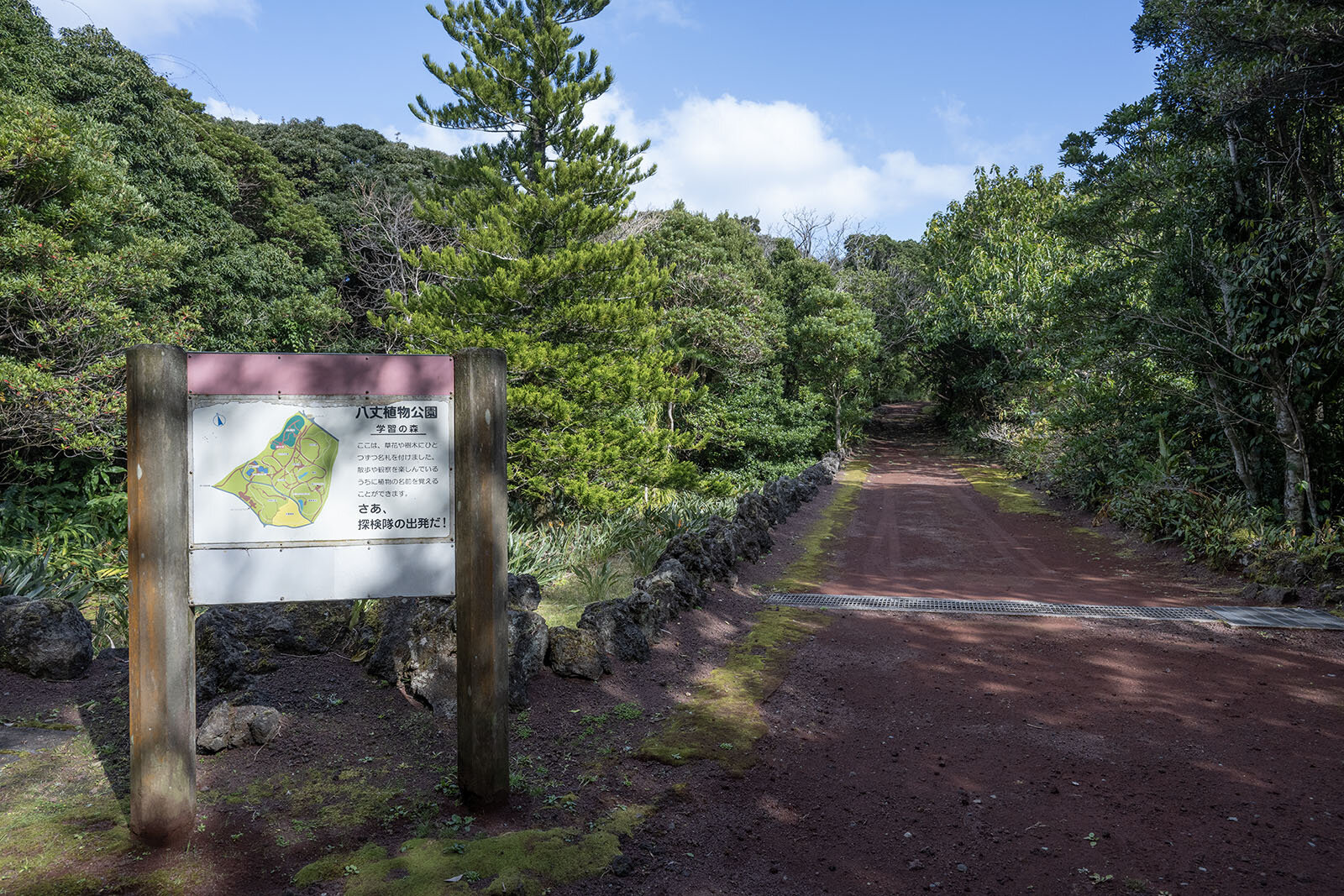 舗装された道を備える八丈植物公園