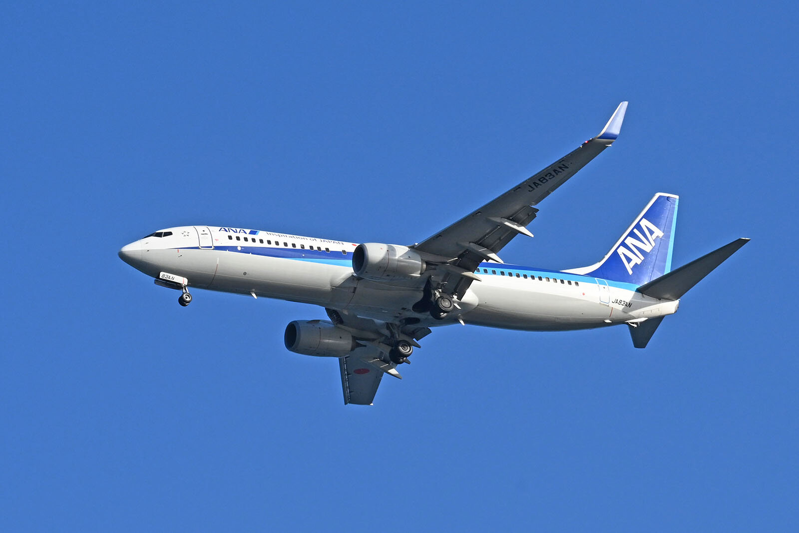 青い空を飛行するANAの機体