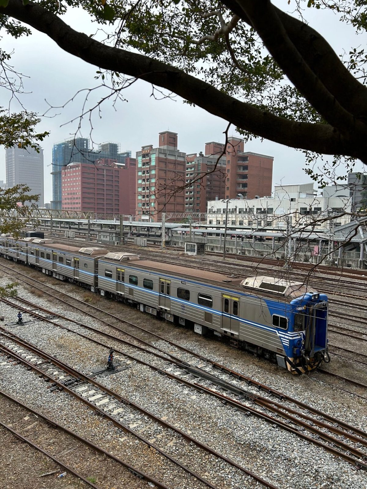 木陰から眺める線路の風景
