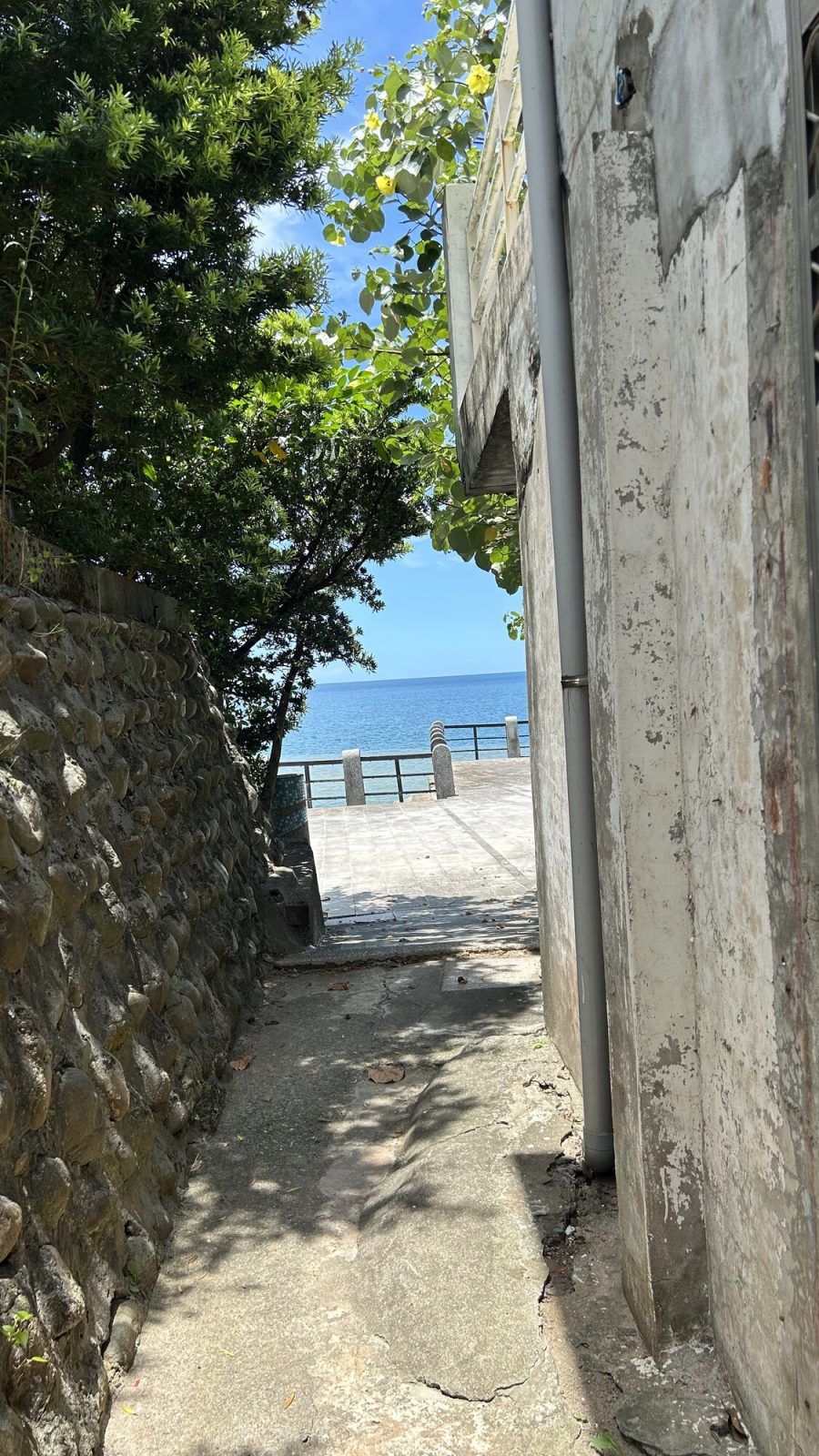 細道の先に見える海
