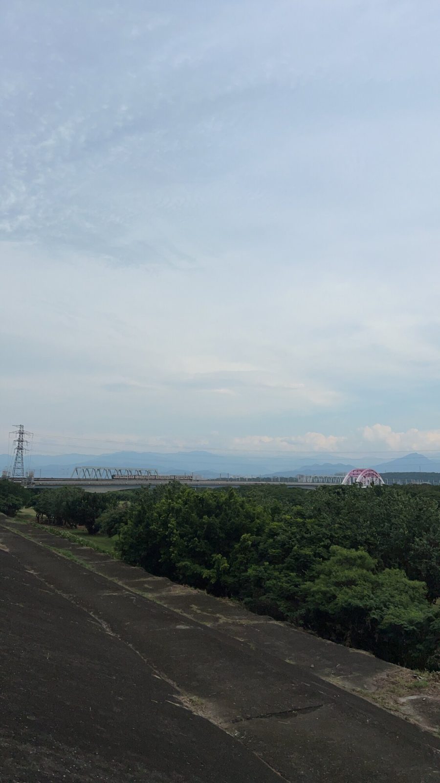 緑の木々の向こうに列車が通過する橋と山の景色
