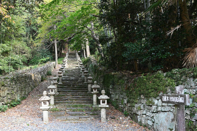 対馬の万松院の石段