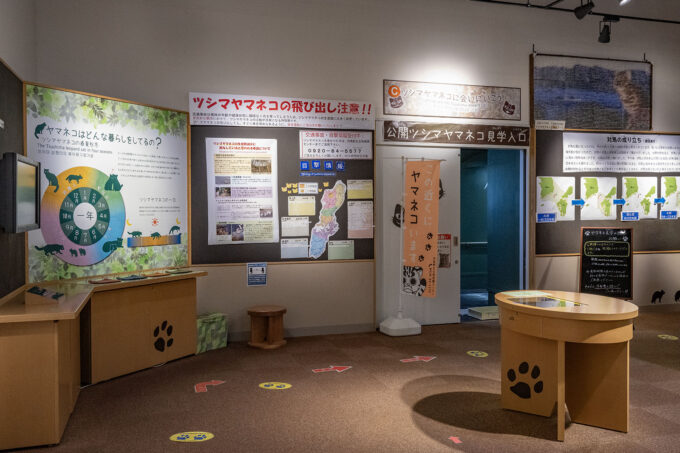 対馬野生生物保護センターの内観