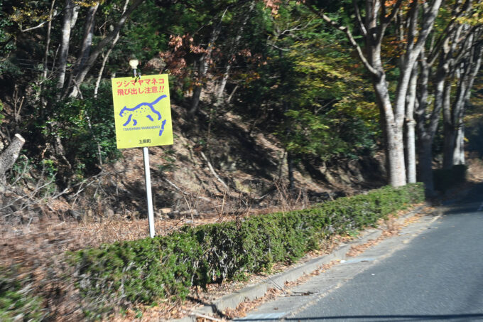 ツシマヤマネコの飛出しへの注意を促す看板