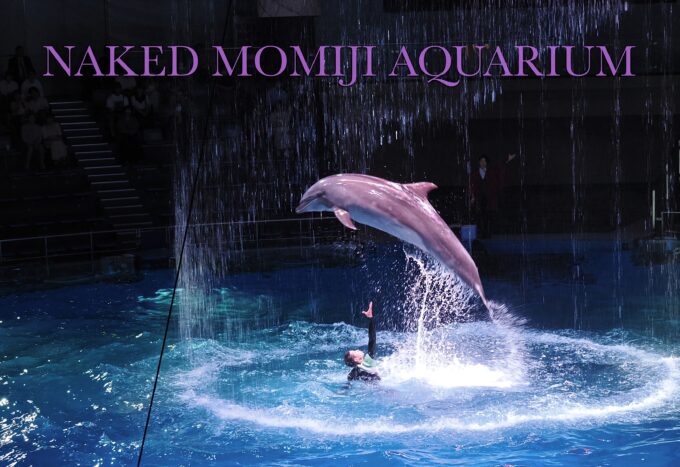 マクセル アクアパーク品川「NAKED MOMIJI AQUARIUM」の夜のドルフィンショー