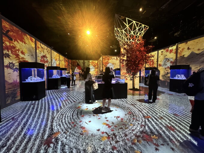 マクセル アクアパーク品川「NAKED MOMIJI AQUARIUM」の秋仕様になった展示ルーム